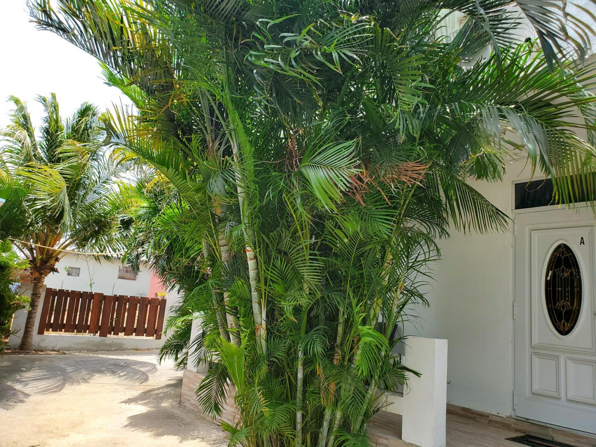 Grand Sun Valley Residences Willemstad Exterior foto